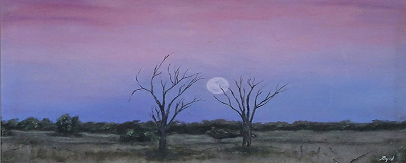 Out back night sky home Out back night sky home